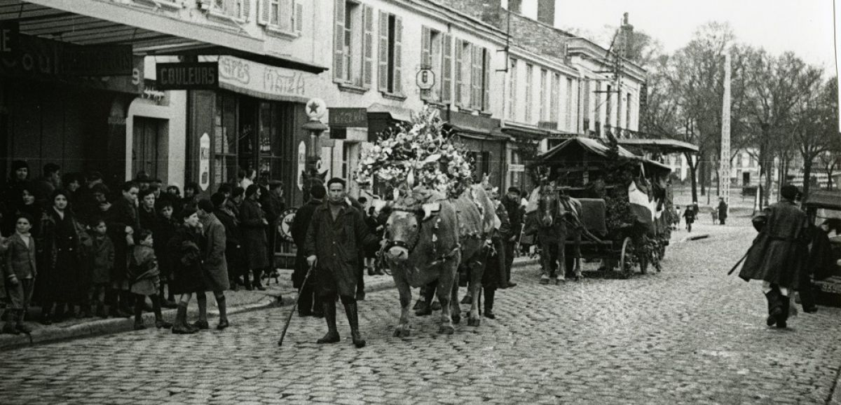 Archives : la fête du Bœuf Gras à Rochefort, une tradition tombée en désuétude