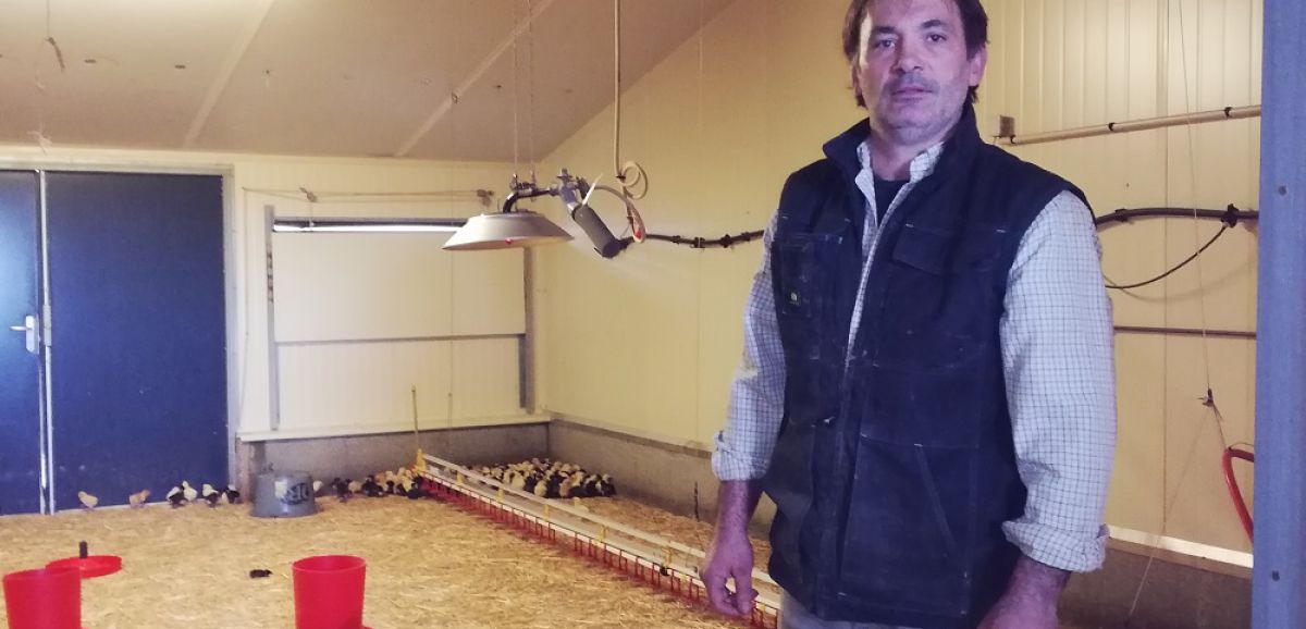 La grippe aviaire met à mal toute la filière en Charente-Maritime