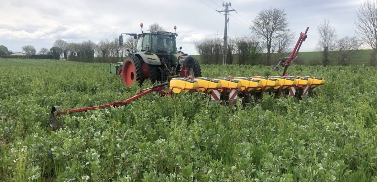 En Charente-Maritime, des agriculteurs s’engagent pour préserver les sols