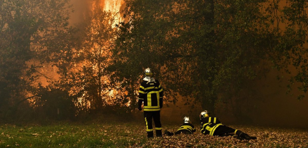Charente-Maritime. "La majorité des feux de forêt est d'origine humaine"