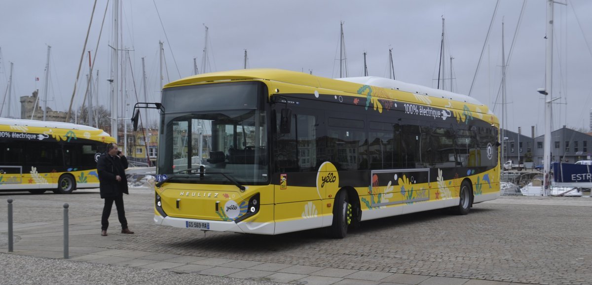 La Rochelle. L'Agglo acquiert 11 bus qui carburent à l'électrique