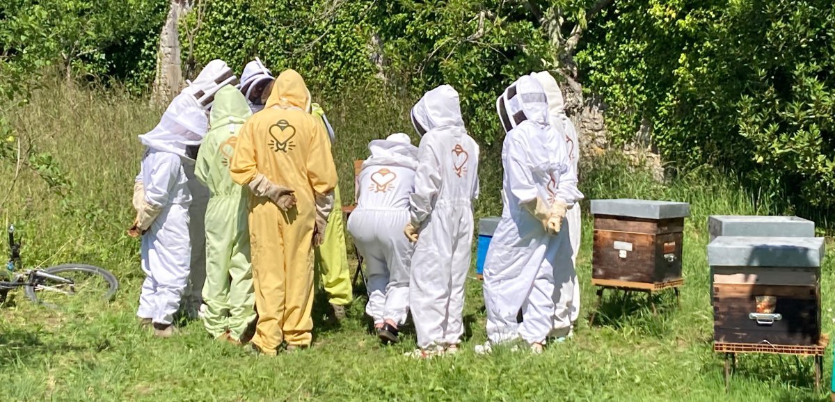 Image de l'actu de L'Hebdo de Charente-Maritime