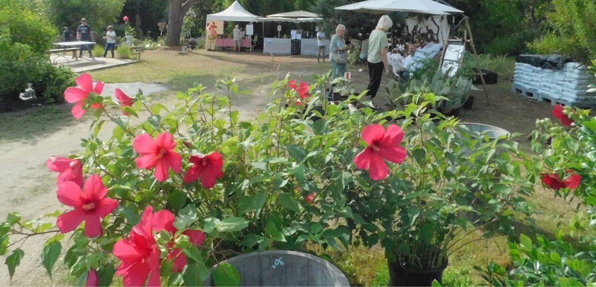 Image de l'actu de L'Hebdo de Charente-Maritime