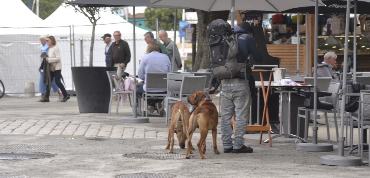 Image de l'actu de L'Hebdo de Charente-Maritime