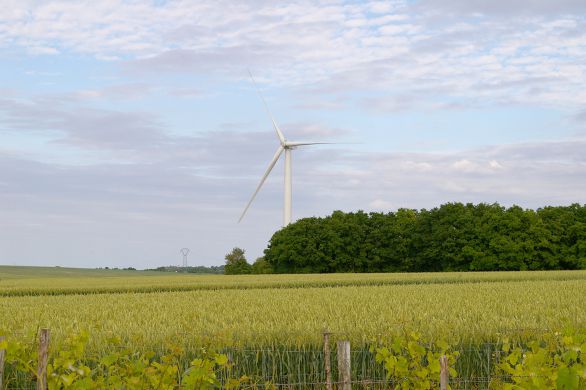 Environnement : la nouvelle arme des anti-éoliens