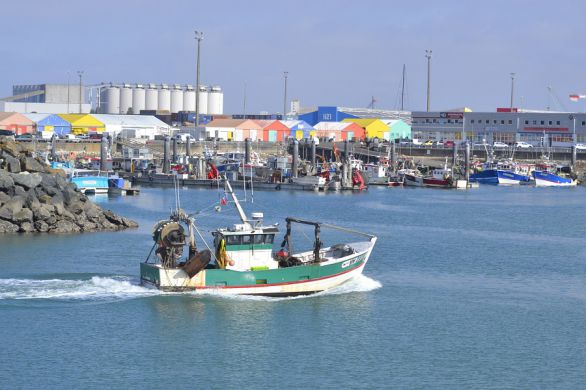 Port de pêche de La Rochelle : « Les pêcheurs vendent bien leur poisson »