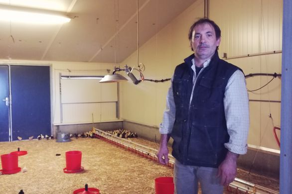 La grippe aviaire met à mal toute la filière en Charente-Maritime