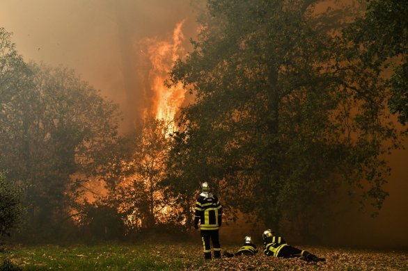 Charente-Maritime. "La majorité des feux de forêt est d'origine humaine"