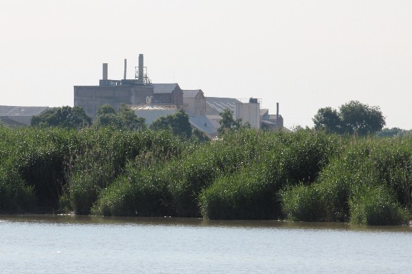 Tonnay-Charente. Le média en ligne Vakita épingle l'usine Timac Agro