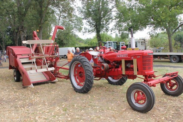 Tonnay-Charente. Animaux de la ferme et tracteurs d'antan s'invitent au jardin des Capucins