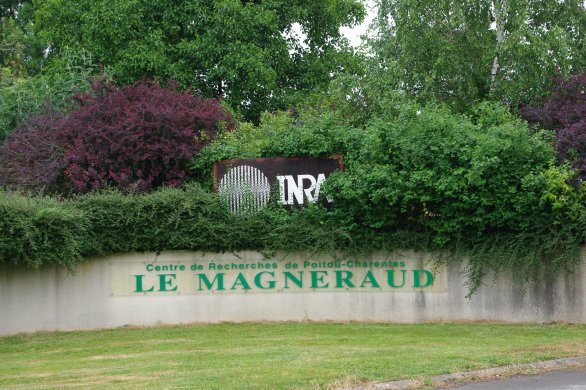 Saint-Pierre-d'Amilly. Les négociations se poursuivent autour du site du Magneraud