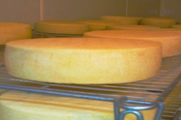 Gastronomie. Le Ronsard, un fromage à raclette 100 % Charente-Maritime made in Surgères !