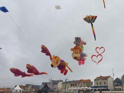 Pendant le festival, 850 cerfs-volants aux multiples couleurs vont se côtoyer - © Dominique Gougat (CLP)