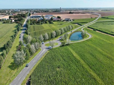 Les ronds-points seront enherbés et leurs abords arborés - -  © CD 17