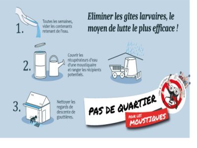 L'ARS annonce le lancement de la saison de surveillance et de lutte contre le moustique tigre - Photo DR