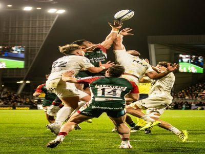 Duel acharné dans les airs. - © Philippe Archambeau